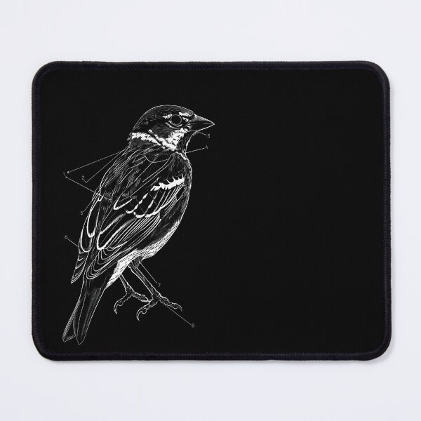 Item preview, Finch Diagram designed and sold by tacticalyeet.