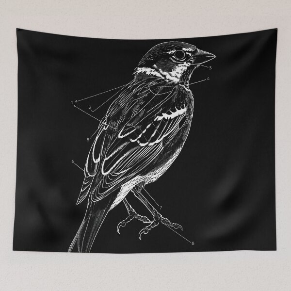 Item preview, Finch Diagram designed and sold by tacticalyeet.