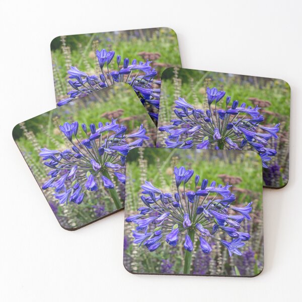 Item preview, Agapanthus(African Lily) designed and sold by jasminewang.