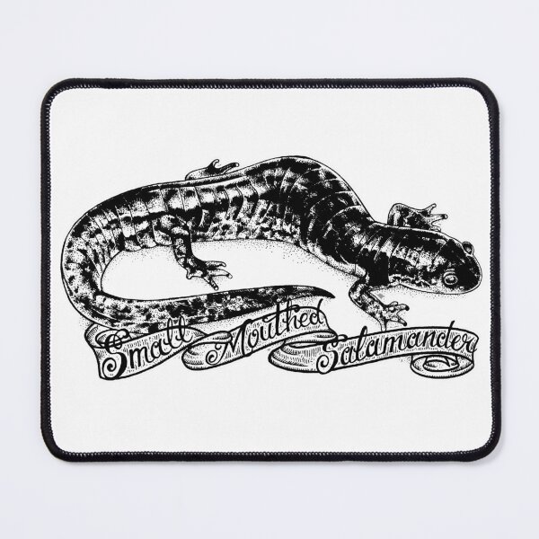 Item preview, Small Mouthed Salamander (Ambystoma texanum) designed and sold by UnderfootStudio.