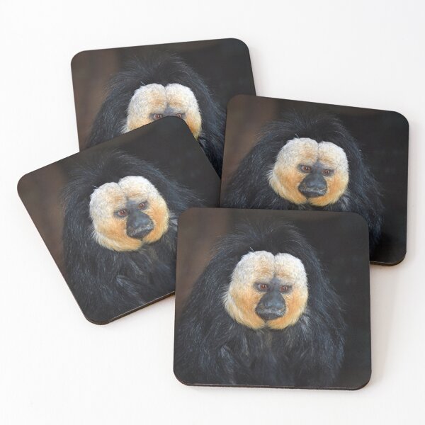 Item preview, Saki Monkey  designed and sold by Savannah Gibbs.