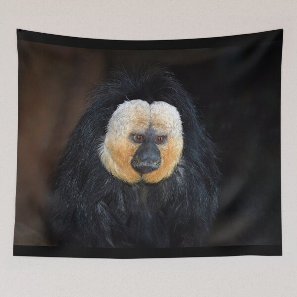 Item preview, Saki Monkey  designed and sold by Savannah Gibbs.