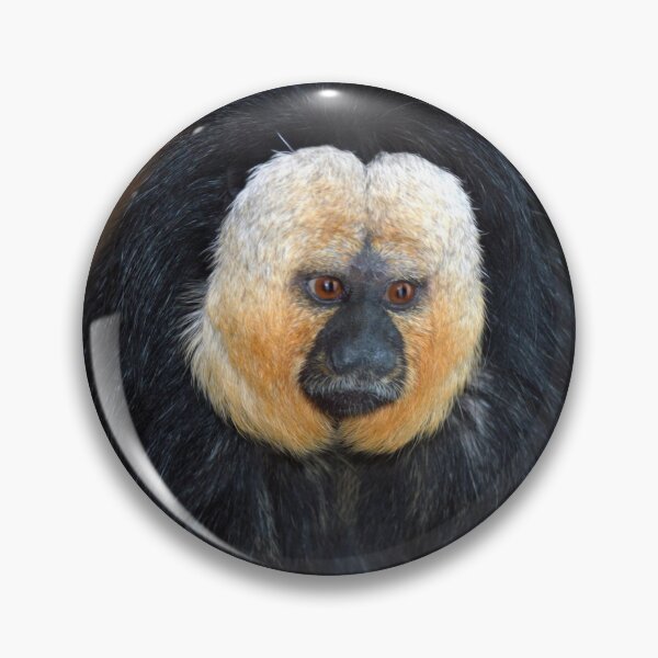 Item preview, Saki Monkey  designed and sold by Savannah Gibbs.