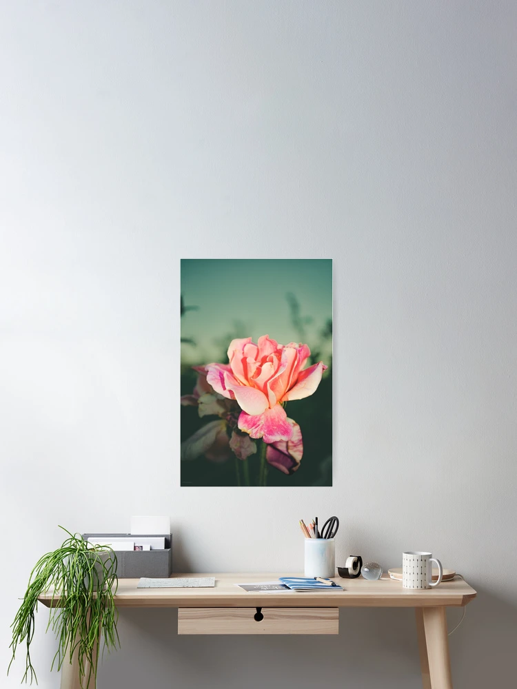 Thumbnail 2 of 3, Poster, Rose designed and sold by RJsphotography and More.
