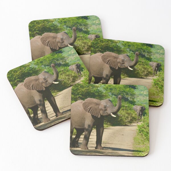Item preview, Elephants at Hluhluwe Imfolozi Park designed and sold by ritupuppala.