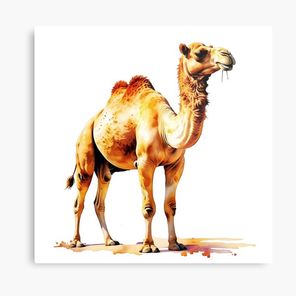 Item preview, Desert Camel designed and sold by TheAnimalZ00.