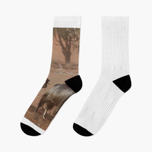 Item preview, Rangeland Goat, Australia designed and sold by Felicity McLeod.