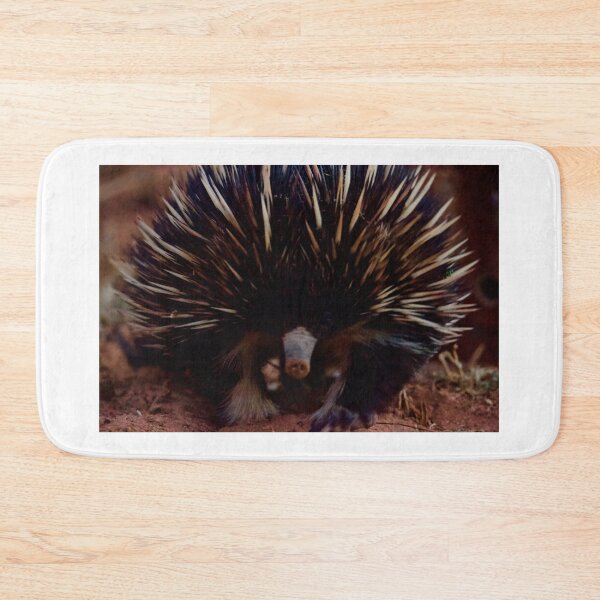 Item preview, White leg Echidna, April 2019. designed and sold by Felicity McLeod.