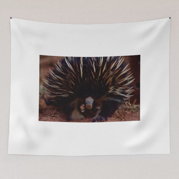 Item preview, White leg Echidna, April 2019. designed and sold by Felicity McLeod.