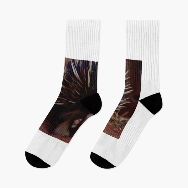 Item preview, White leg Echidna, April 2019. designed and sold by Felicity McLeod.