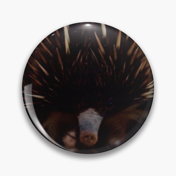 Item preview, White leg Echidna, April 2019. designed and sold by Felicity McLeod.