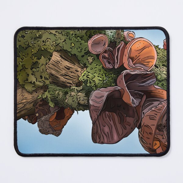 Item preview, Mushrooms of the Mid-Atlantic: Wood Ear Mushrooms designed and sold by Cherie Brunetti.