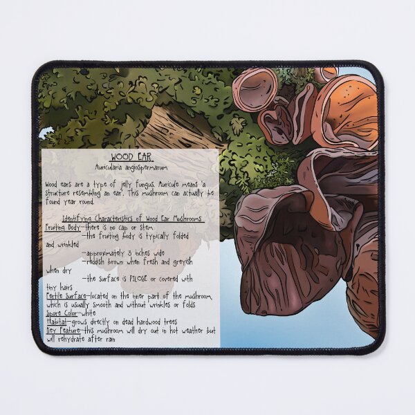 Item preview, Mushrooms of the Mid-Atlantic: Wood Ear Mushrooms designed and sold by Cherie Brunetti.