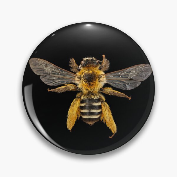 Item preview, Beautiful Bee designed and sold by SB Design.