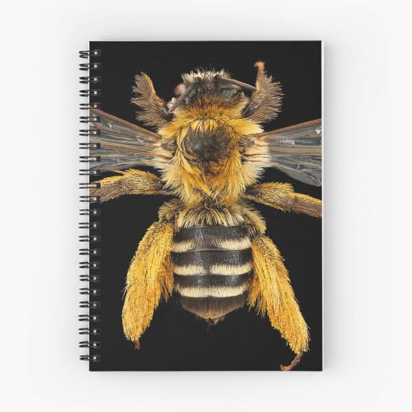Item preview, Beautiful Bee designed and sold by SB Design.
