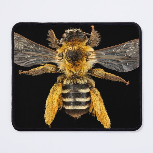 Item preview, Beautiful Bee designed and sold by SB Design.