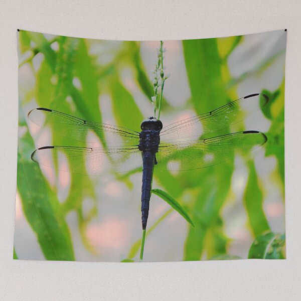 Item preview, Slaty Skimmer in Shade designed and sold by gistinker.