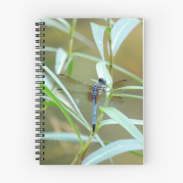 Aperçu de l'œuvre Blue Dasher sur un arbuste créée et vendue par gistinker.