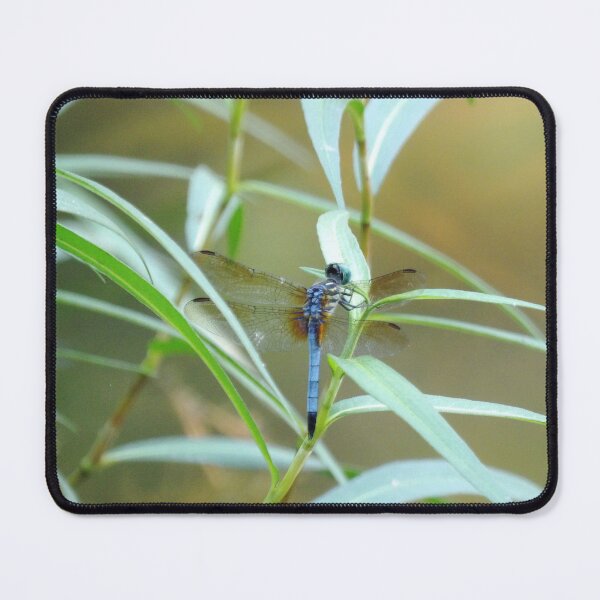 Item preview, Blue Dasher on a Shrub designed and sold by gistinker.