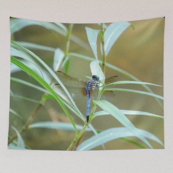 Item preview, Blue Dasher on a Shrub designed and sold by gistinker.
