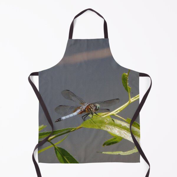 Item preview, Blue Dasher Dragonfly Side View designed and sold by gistinker.