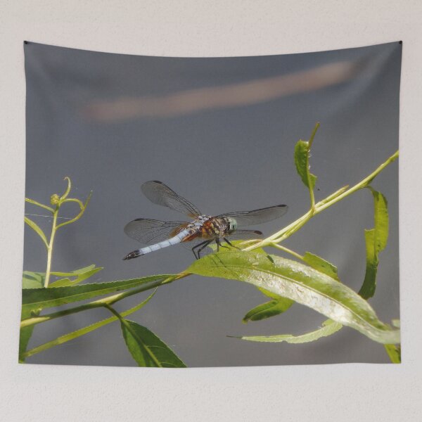 Item preview, Blue Dasher Dragonfly Side View designed and sold by gistinker.