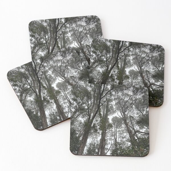 Item preview, Looking upwards to the tree canopy designed and sold by KrissfromOZ.