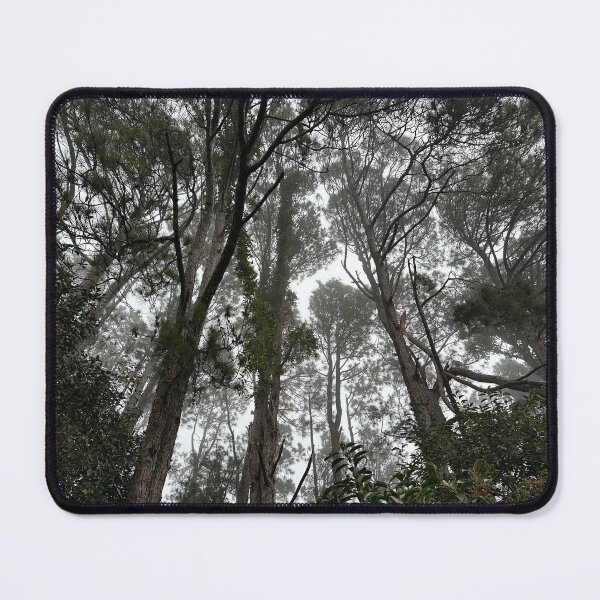 Item preview, Looking upwards to the tree canopy designed and sold by KrissfromOZ.
