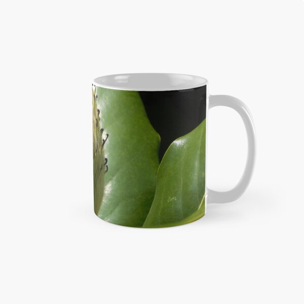 Item preview, Magnolia Seedpod in Summer designed and sold by gistinker.