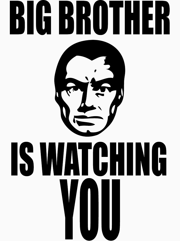 Big brother is watching you что это