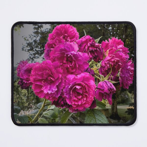 Item preview, Prim & Proper designed and sold by Steve Walser.