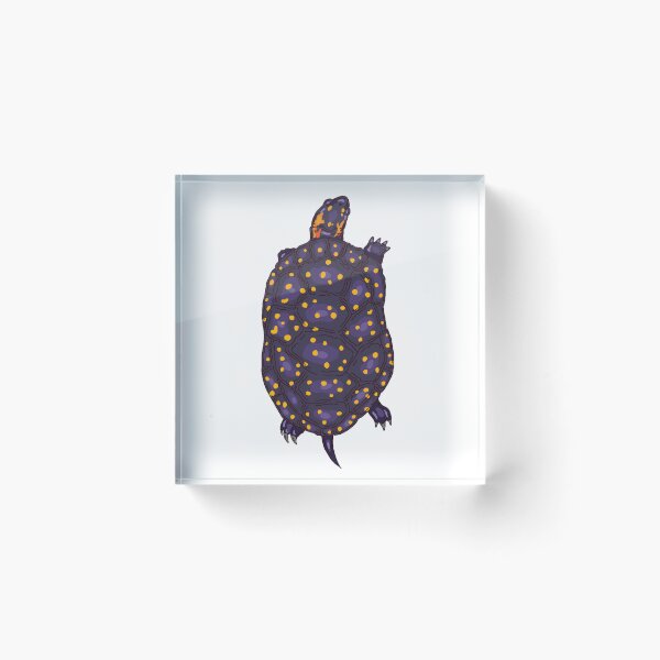 Item preview, Spotted Turtle  designed and sold by Lily Hamilton.