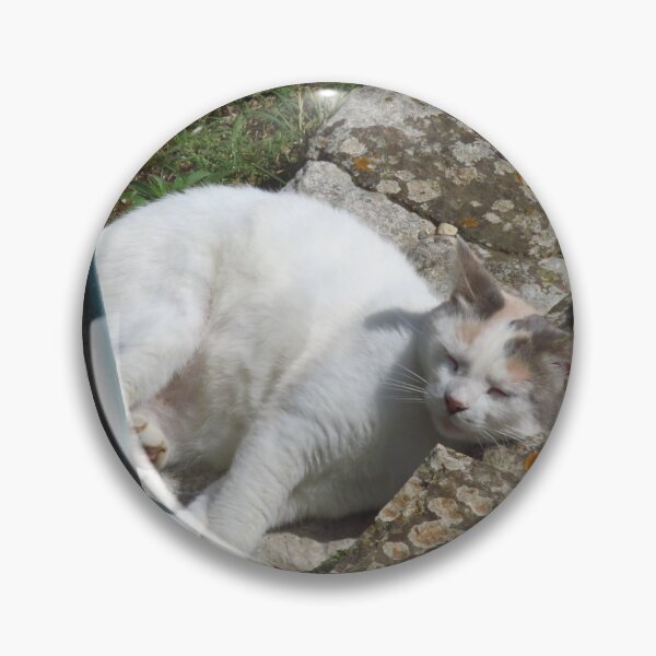 Item preview, Contented Cat designed and sold by wiggyofipswich.