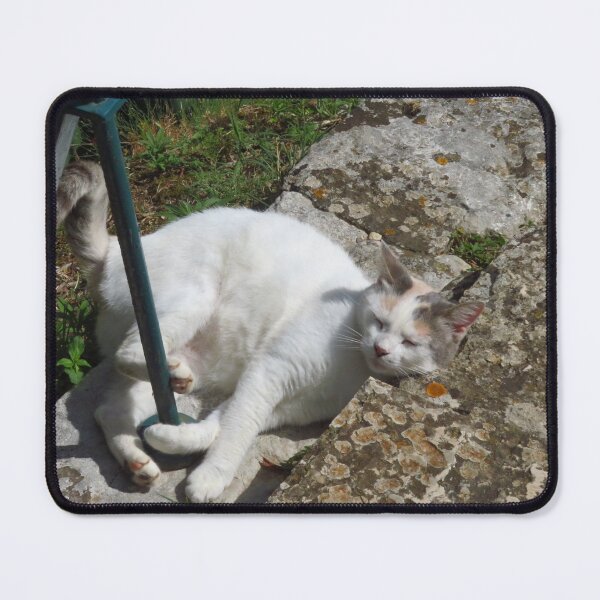 Item preview, Contented Cat designed and sold by wiggyofipswich.