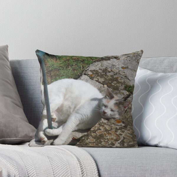 Item preview, Contented Cat designed and sold by wiggyofipswich.