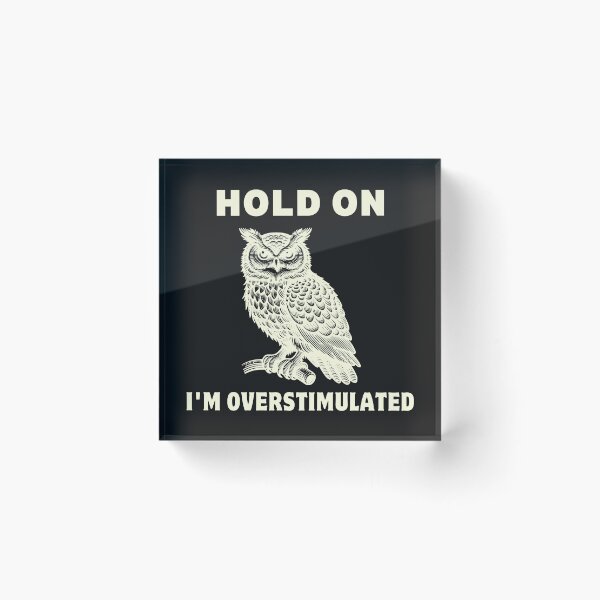 Item preview, hold on i'm overstimulated Classic T-Shirt designed and sold by padeddesignart.