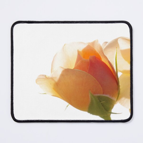 Item preview, "Fair rose" designed and sold by Penny Kittel.