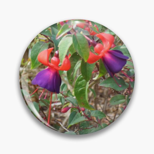 Item preview, Flowering Fuchsias  designed and sold by KeksWorkroom.