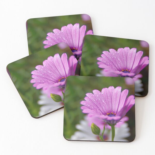 Item preview, Daisy rain designed and sold by Penny Kittel.