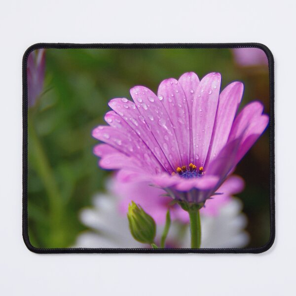 Item preview, Daisy rain designed and sold by Penny Kittel.