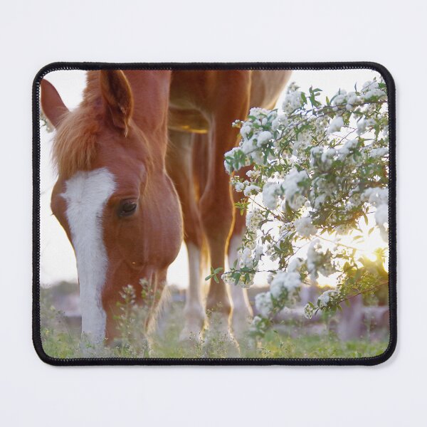 Item preview, "Flaxen Spring" designed and sold by Penny Kittel.