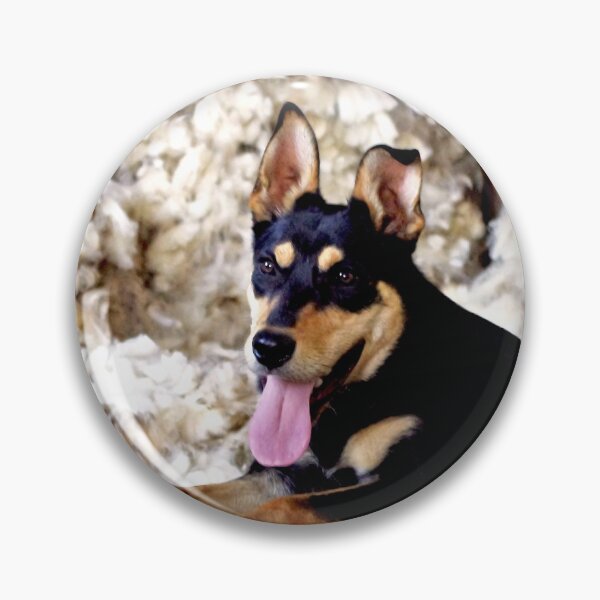 Item preview, Kelpie at shearing time designed and sold by Penny Kittel.