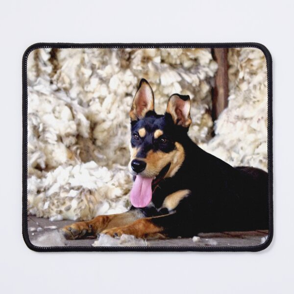 Item preview, Kelpie at shearing time designed and sold by Penny Kittel.