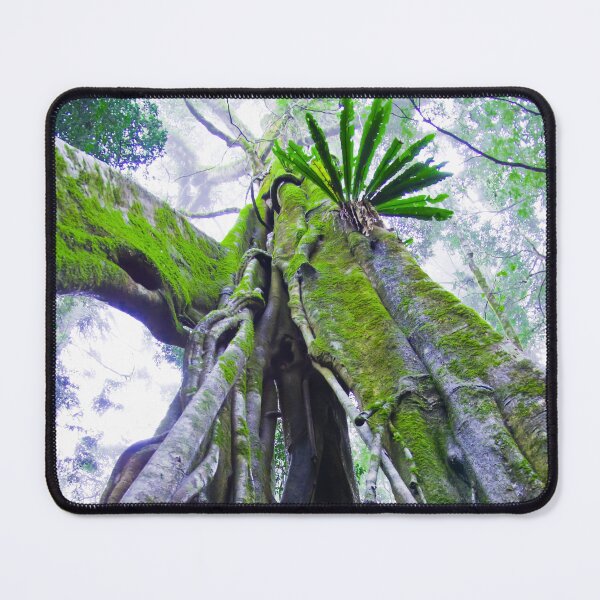 Item preview, Uptree designed and sold by Penny Kittel.