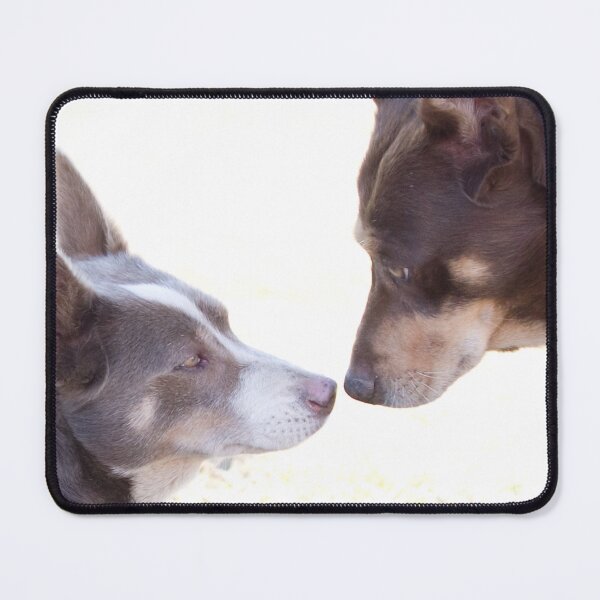Item preview, Kelpie connection designed and sold by Penny Kittel.