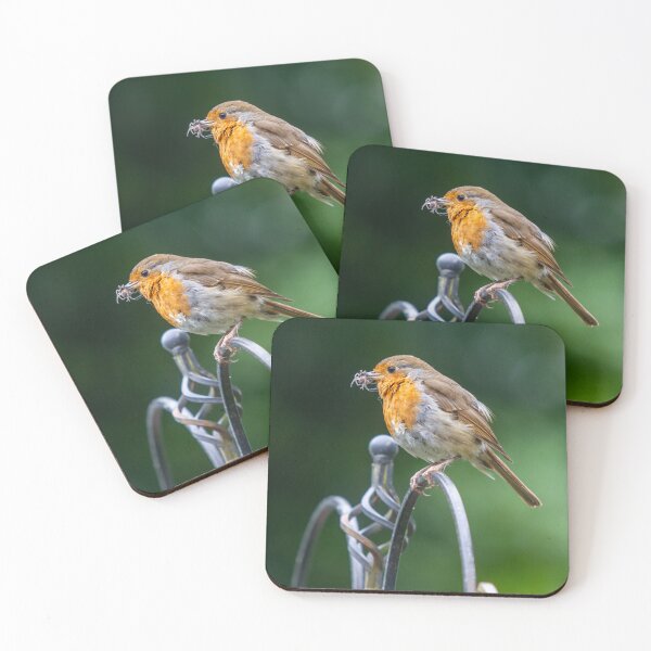Item preview, feeding Robin designed and sold by McanPhotography.