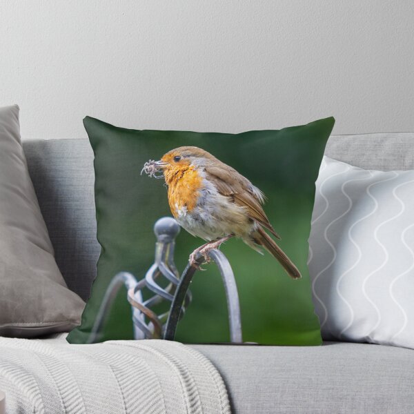 Item preview, feeding Robin designed and sold by McanPhotography.