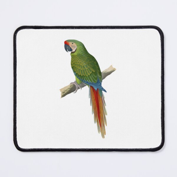 Item preview, Green parrot Ara designed and sold by ANVivid.