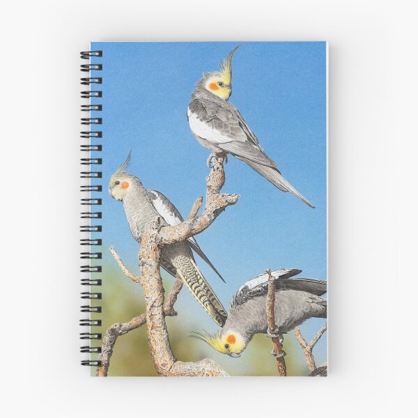 Item preview, Rise and Shine (Cockatiels) designed and sold by Frances McMahon Watercolour Bird Artist.