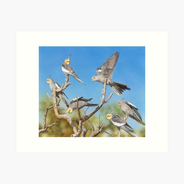 Item preview, Rise and Shine (Cockatiels) designed and sold by Frances McMahon Watercolour Bird Artist.